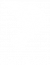 Danher-light-grey-logo
